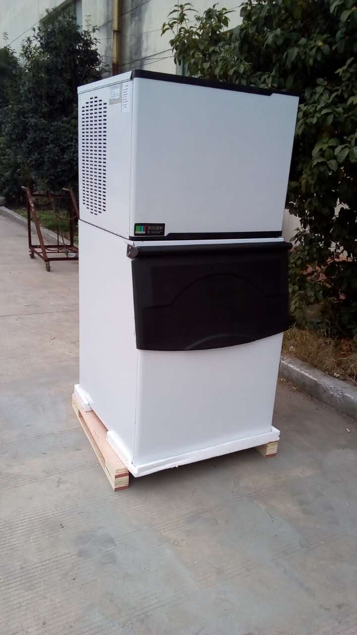 Leistung 455 kg EISBEREITER
